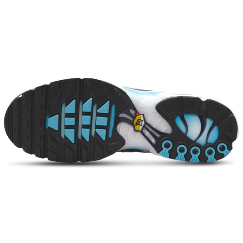 NK Air Max Plus Tuned 1 Dark Obsidian