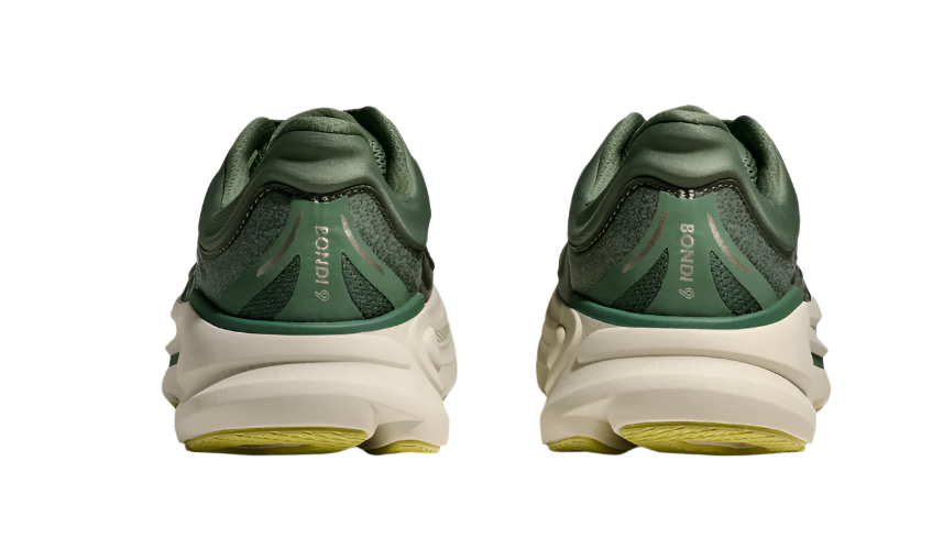 HB 9 Succulent Fern para hombre